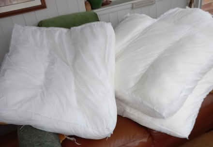 Photo of free 3 large sofa cushion inserts (Didcot OX11) #1