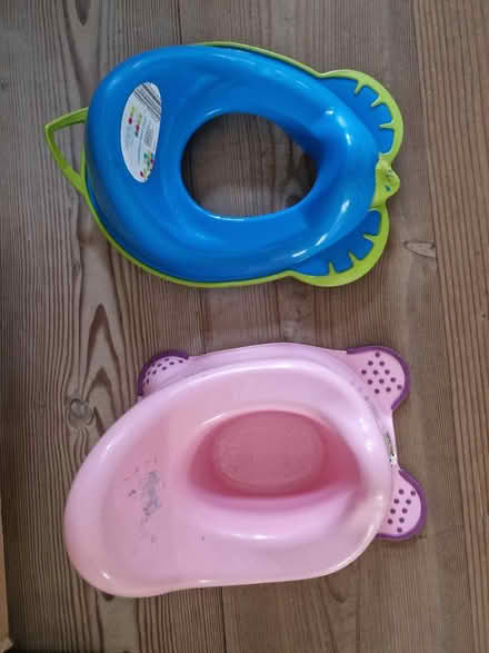 Photo of free Potty and toilet seat (Didcot OX11) #1