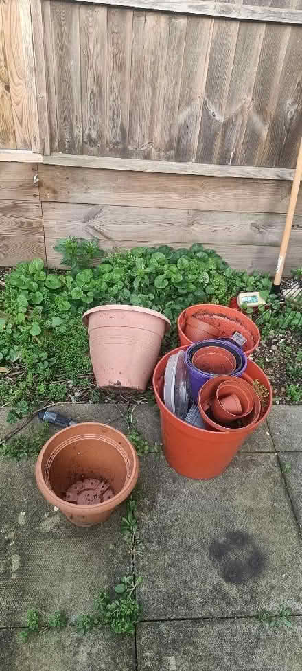 Photo of free Pots and garden supplies (Upper Holloway N19) #2