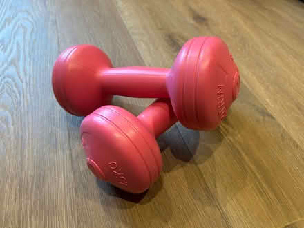 Photo of free Small dumbbells (Newall LS21) #1