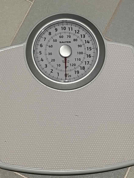 Photo of free Weighing scale (Heald Green SK8) #1