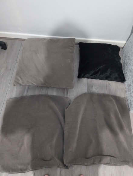 Photo of free Cushions and spare covers (Hyde SK14) #1