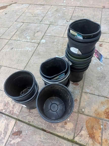 Photo of free 2.5 qt planting pots (San Jose) #1