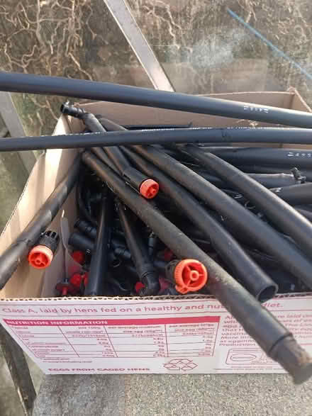 Photo of free Self watering drippers and tubing for a greenhouse (St Nicholas SG1) #4