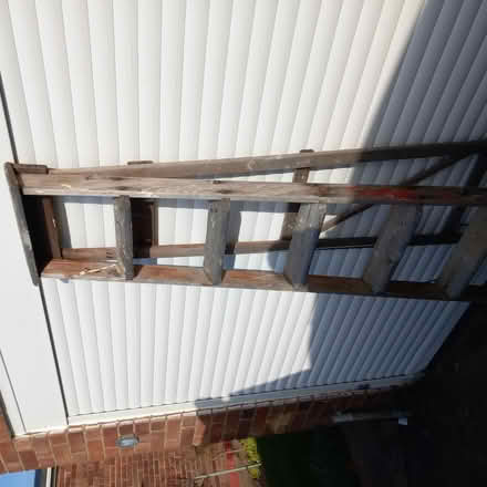 Photo of free Ladder (shepperton) #2