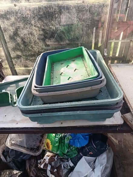 Photo of free Plastic trays (St Nicholas SG1) #1