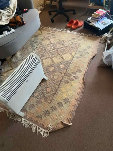 Photo of free Long rug (E5) #1