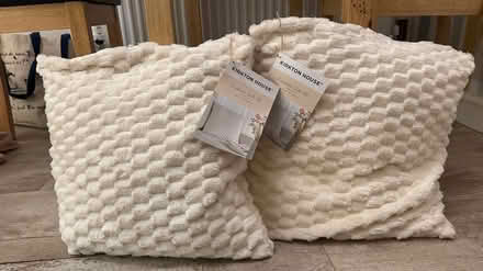 Photo of free 2 cushions (Witney OX28 Deer Park) #1