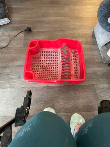 Photo of free Red dish drainer (Wandsworth SW18) #1