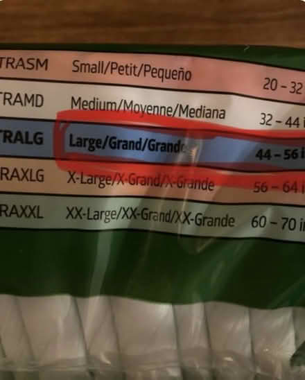 Photo of free 20 Size L incontinence underwear (WDC NE) #3