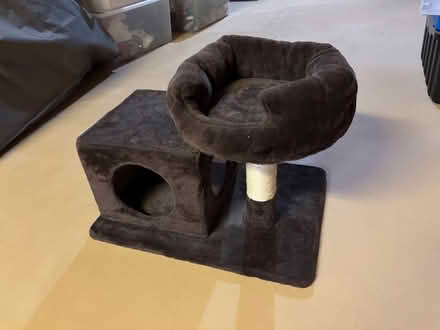 Photo of free Cat Play Structure (Orleans) #1