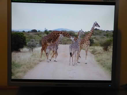 Photo of free Monitor 7 (West Oxfordshire OX28) #2