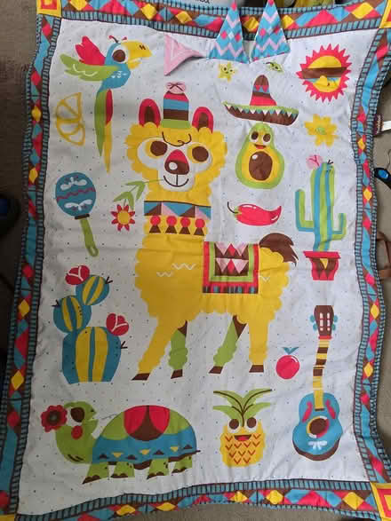 Photo of free Large play matt (IG6 3s) #1