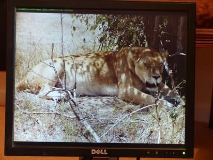 Photo of free Monitor 4 (West Oxfordshire OX28) #3