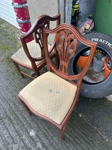 Photo of free Dining chairs (Dublin4) #1