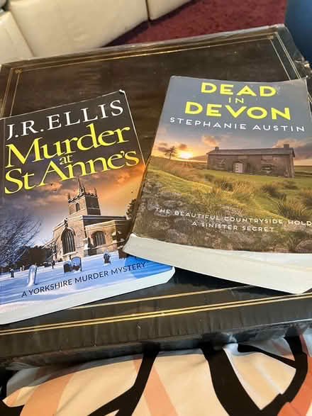 Photo of free Crime books (Chesham HP5) #1