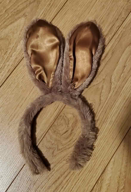 Photo of free Chocolate scented bunny ears (Near Experimental Farm) #1