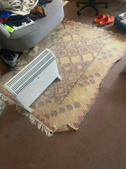 Photo of free Long rug (E5) #3