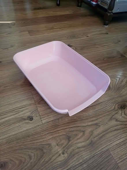 Photo of free Kitten Bundle (Saint Luke's EC1V) #2