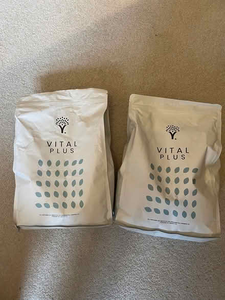 Photo of free Mix of garden / plant and random (Crouch End N8) #1