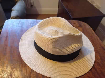 Photo of free Panama Hat medium (Petersfield) #1