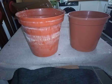 Photo of free 2 large plastic plant pots (Union Park TR11) #1