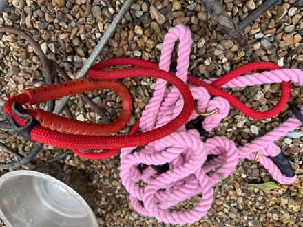 Photo of free Dog bowls, holder and leads (BR1) #2