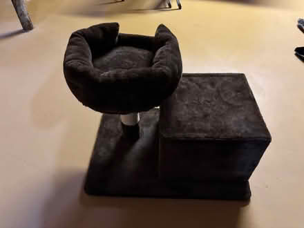 Photo of free Cat Play Structure (Orleans) #2