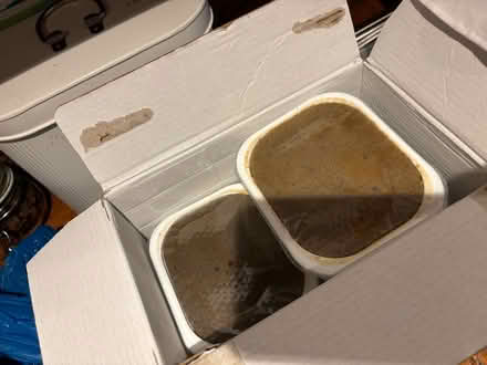 Photo of free Forth glade wet dog food (Leigh) #2