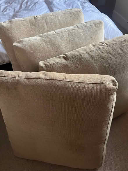 Photo of free Six large sofa seat cushions (Mersham TN25) #2