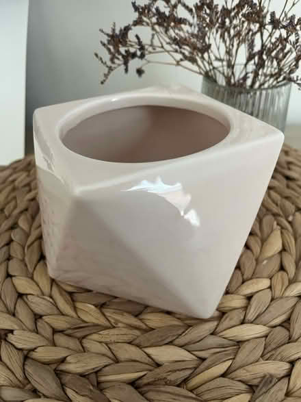 Photo of free Plant pot (Stotfold) #1