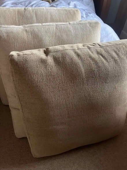 Photo of free Six large sofa seat cushions (Mersham TN25) #1
