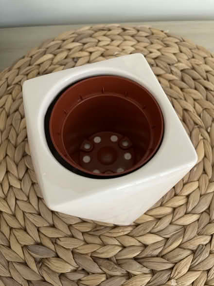 Photo of free Plant pot (Stotfold) #3