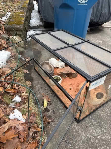 Photo of free Bearded Dragon Tank Lights Supplies (Annandale, VA) #2