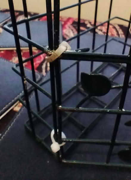 Photo of free Bird Feeder (Talbot Village BH12) #1