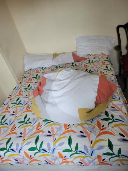 Photo of free King size bed (LE3 near Western park) #2