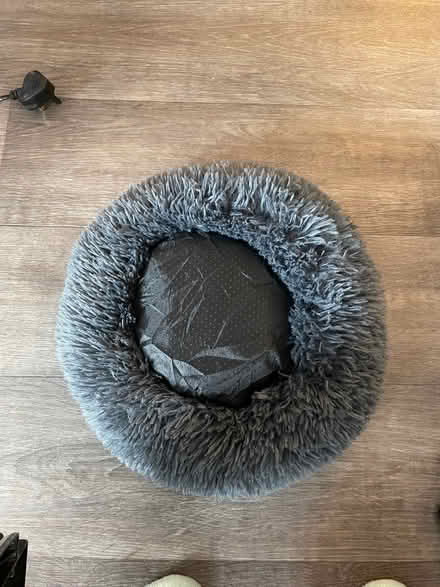 Photo of free Small donut cat bed. (Wandsworth SW18) #1