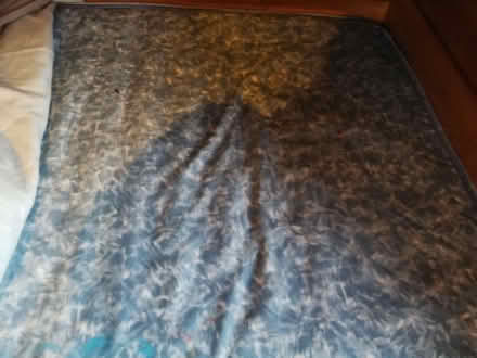 Photo of free Single mattress (Timperley WA15) #1