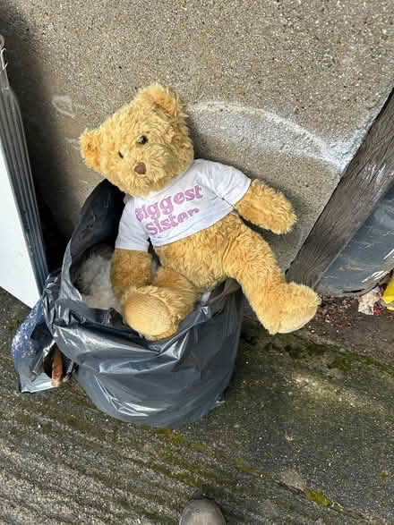 Photo of free Bag of teddies (Dublin4) #1