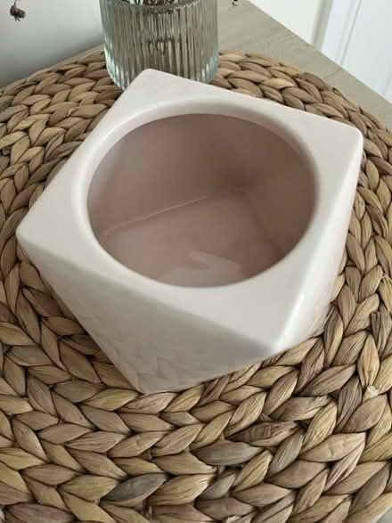 Photo of free Plant pot (Stotfold) #2
