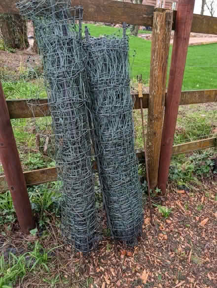 Photo of free Electric poultry netting (Churston Ferrers TQ5) #1