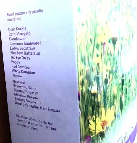 Photo of free Wild Flower Seeds (Woodlands Av., Sidcup DA15) #1