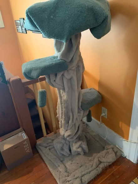 Photo of free Cat tree (Fraser/kingsway) #1