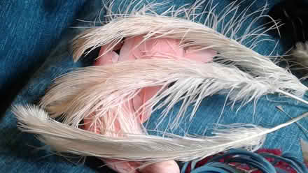 Photo of free 1950s fake flower hat decorations (OX25 Upper Heyford) #4