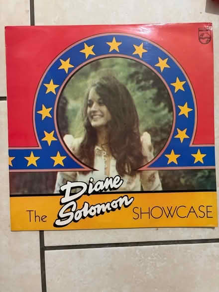 Photo of free Diane Soloman LP (Westbury BA13) #1