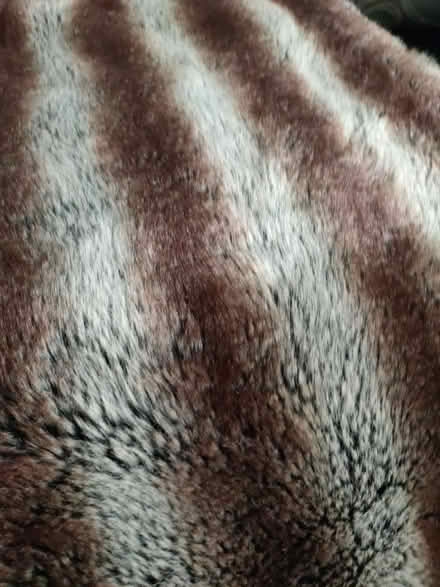 Photo of free Faux fur throw (Manor Park E12 6D) #2