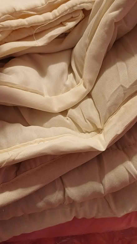 Photo of free Single duvet Coverless (Chineham RG24) #1