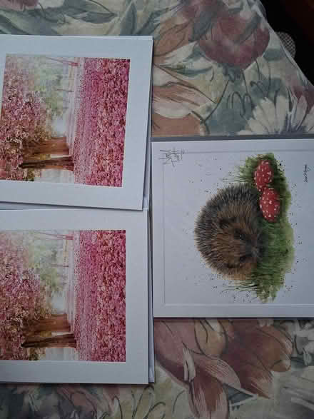 Photo of free Blank Cards (Styvechale, Coventry) #1