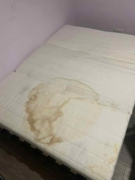 Photo of free Sofa Bed (thornton heath) #3