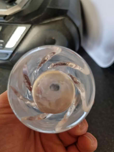 Photo of free Small glass vase (SE20) #3